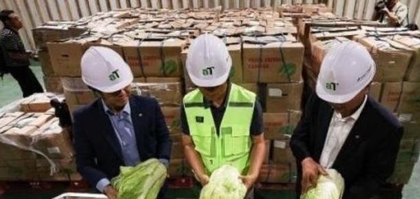 “中国要被我们拖垮了！”2024年，韩国上千人拒绝吃从中国进口的中国白菜，本想给