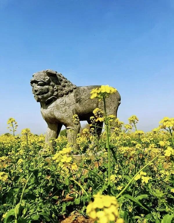 【有福气的人，说话时会做到句末留白，每说一句便停顿片刻，让话语沉淀；倾听时专注认