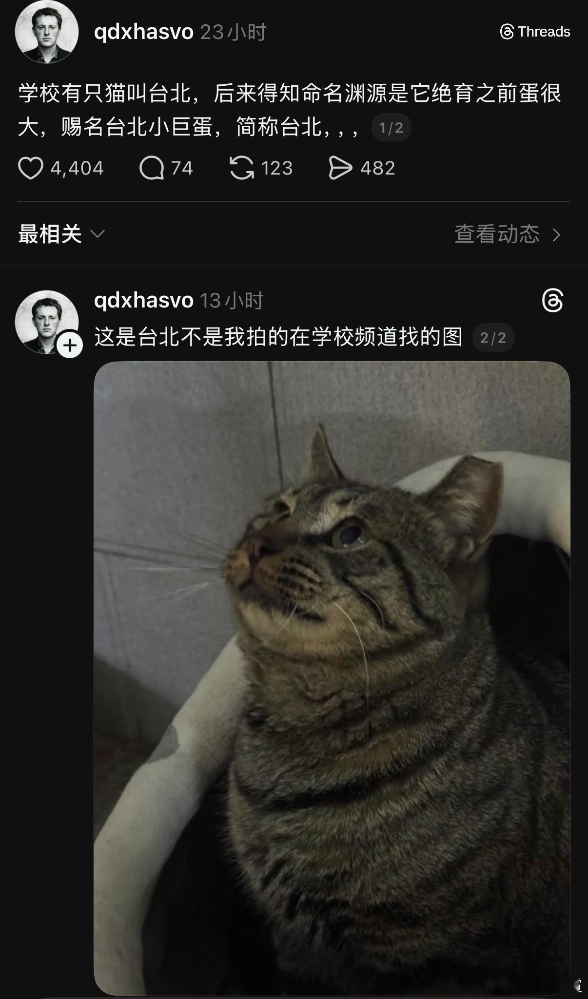 看耳朵，小巨蛋应该确实不在了 
