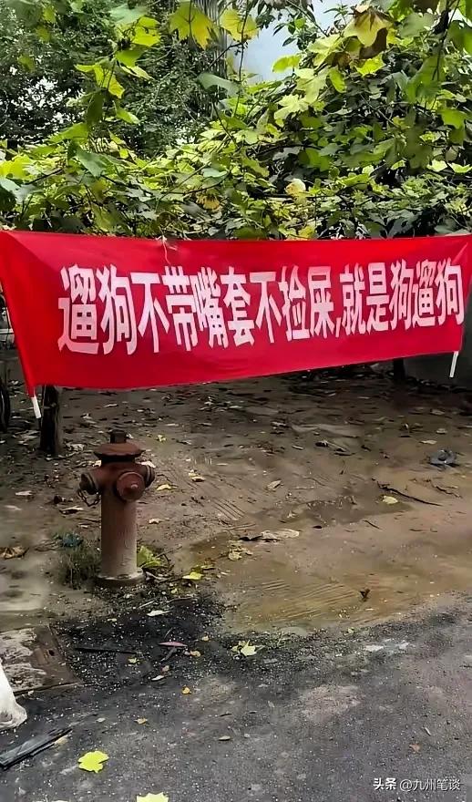 人遛狗还是狗遛狗？
这是把物业逼疯了才会想出这种方法吧。

遛狗的越来越多，有的