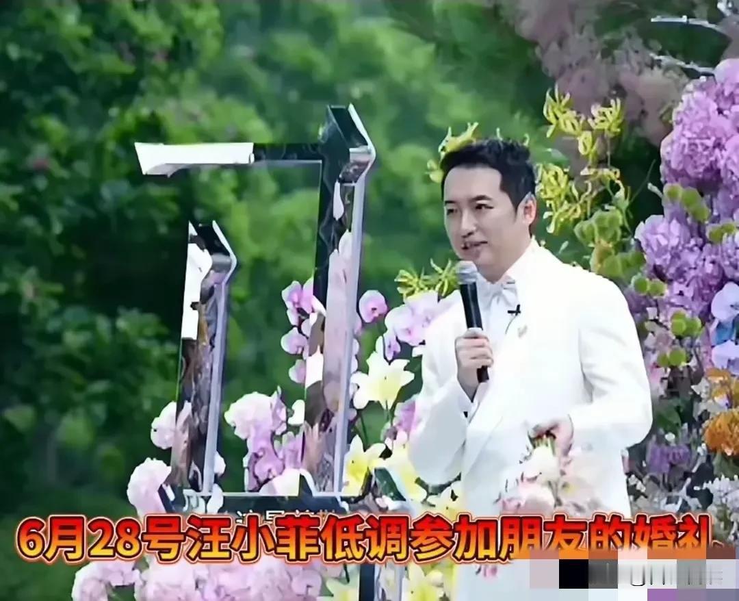 好友马先生婚礼
汪小菲却收获满满

这到底又发生了啥

近日汪小菲又出名了
他去