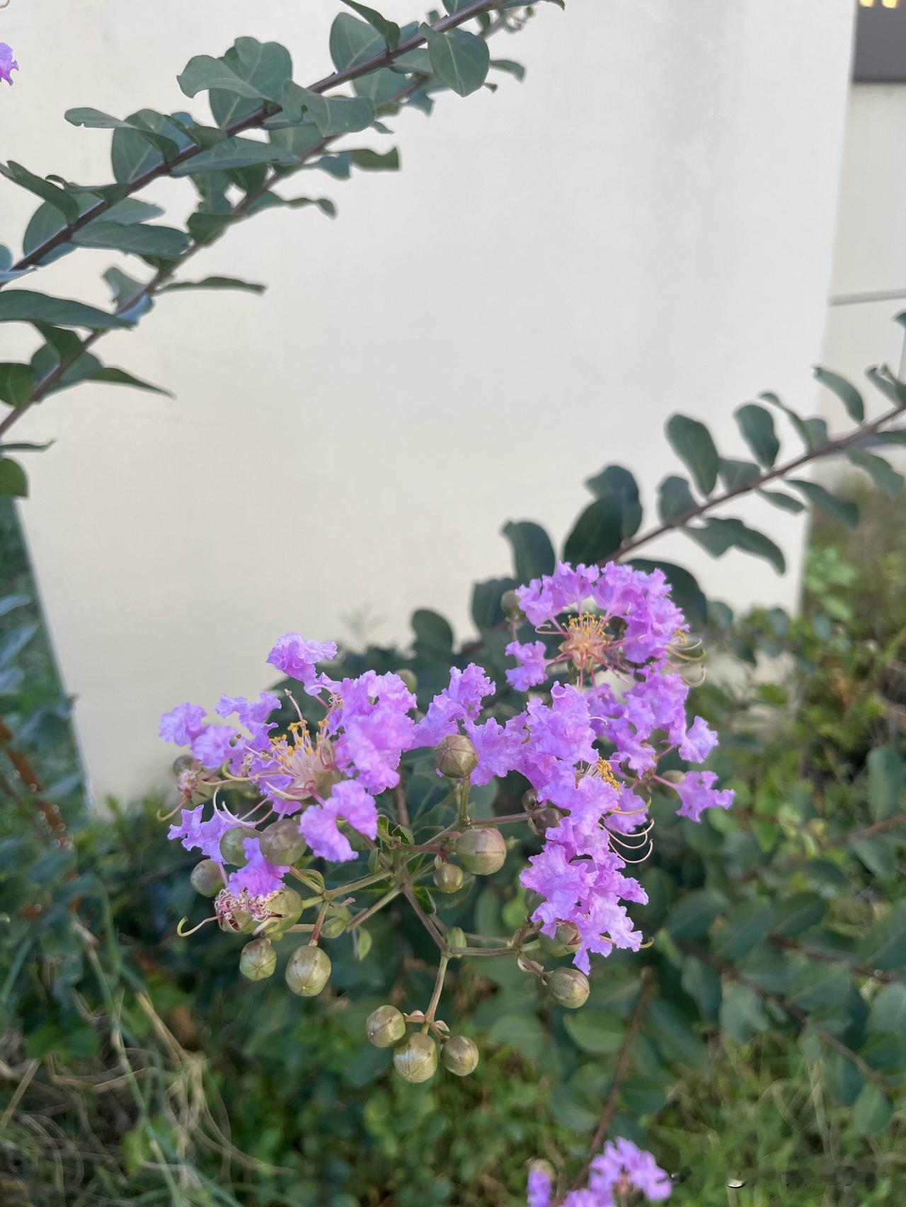读到这么一段通透的话：“我站在因果里，尽我所能，尽我所不能，空心度日，万事随缘，