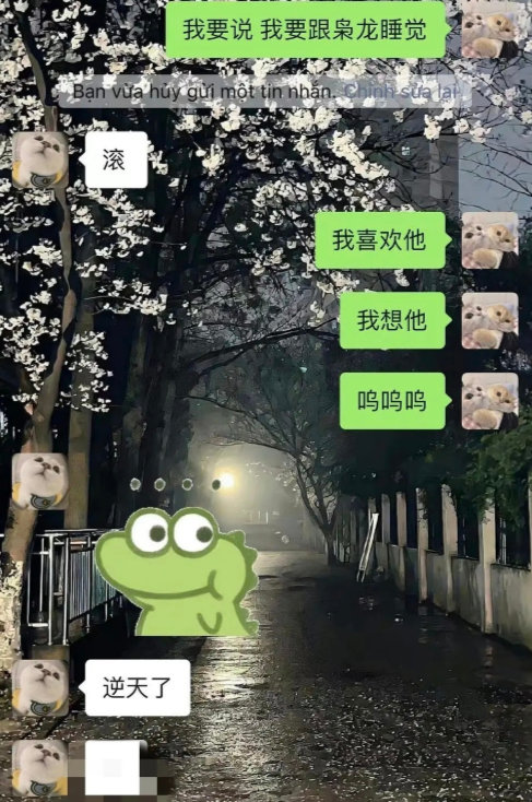 网友吃🍉省流版总结: 这位派派是现wb上单枭龙女朋友、流浪大粉、夏凌流星为她争