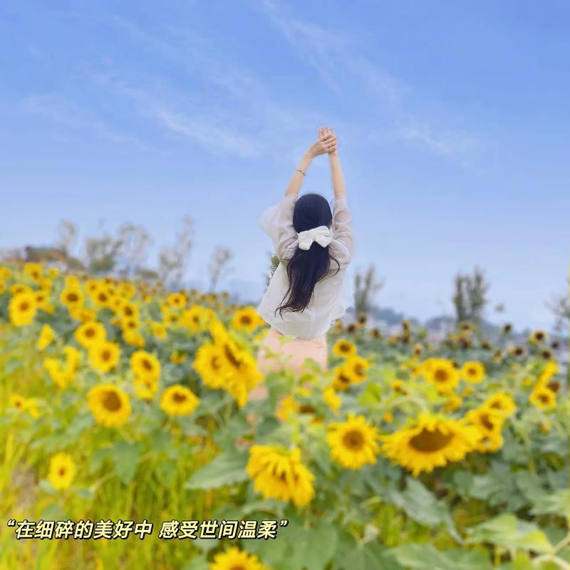 告诉你个扎心真相：
若身边人都对你赞不绝口，
那是你一直在当“冤大头”；
说你自
