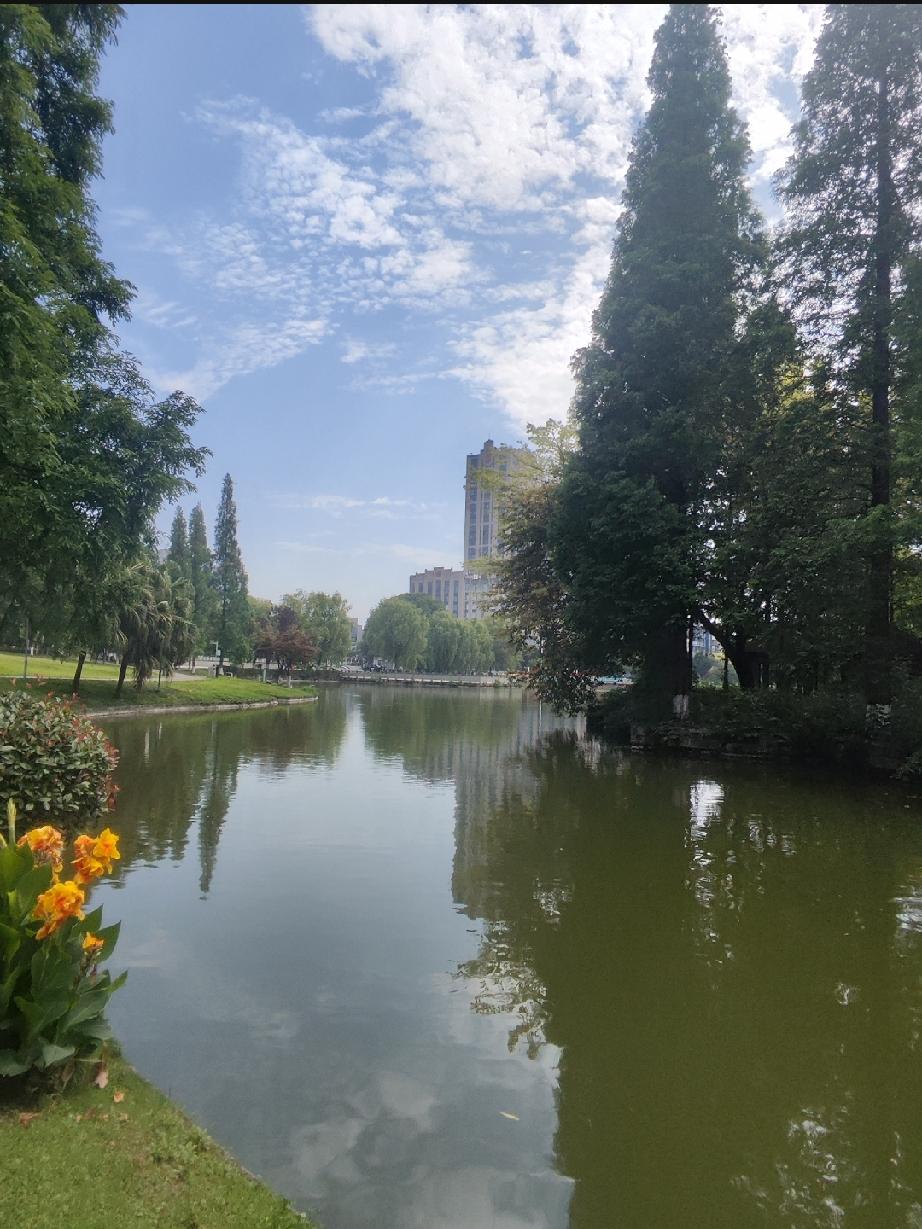 湖水像块温润的绿玉，把蓝天、云絮和岸边的树影都轻轻揉进怀里。

水杉笔直地站在岸