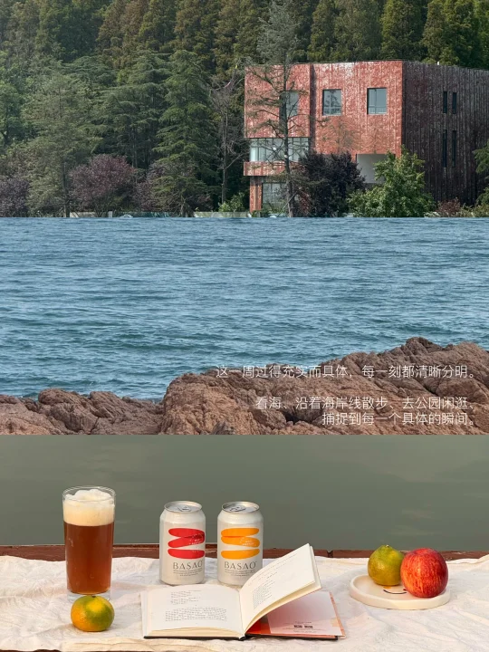 在海边看书、公园小憩、过具体的生活。