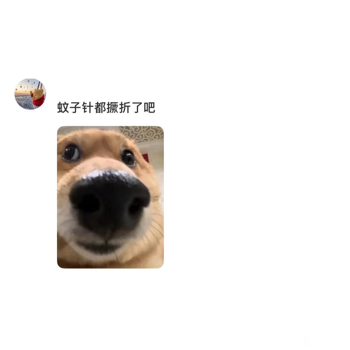 蚊子喜欢叮小孩的原因找到了 