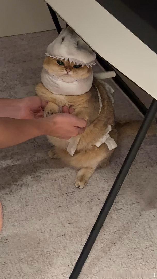 不要太可爱！！！！！！ 