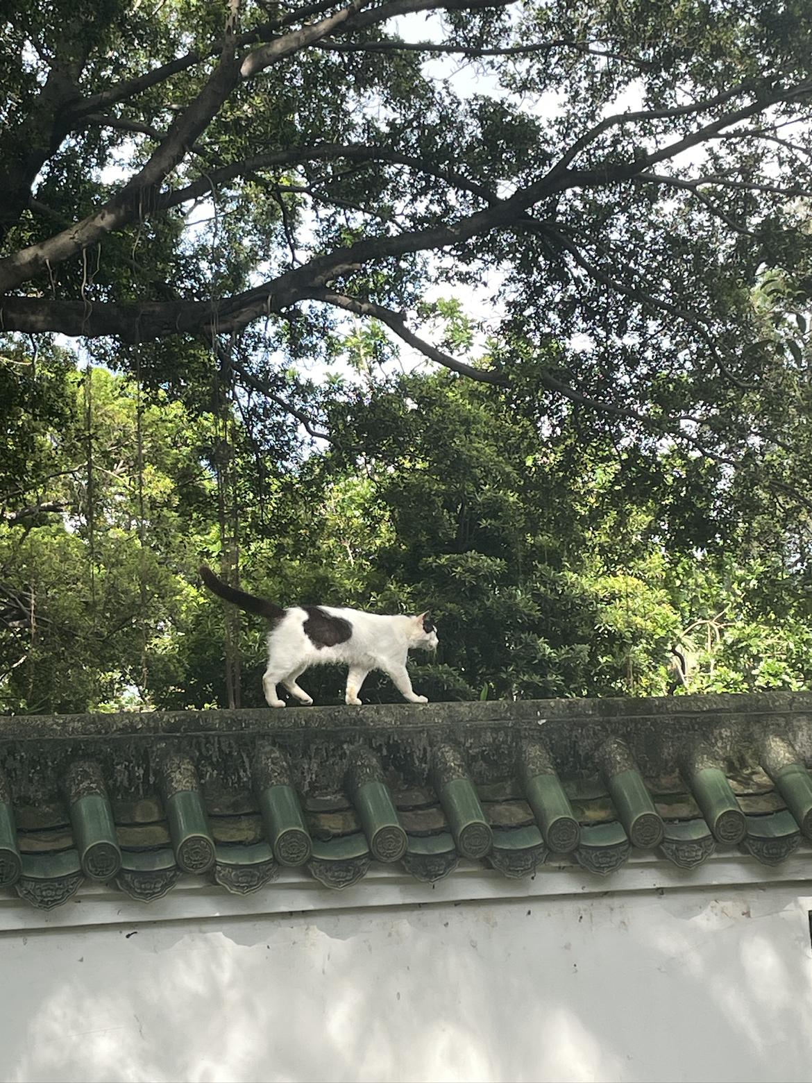 我的今日状态：😁轻松愉快
我这里的天气：☀️晴天