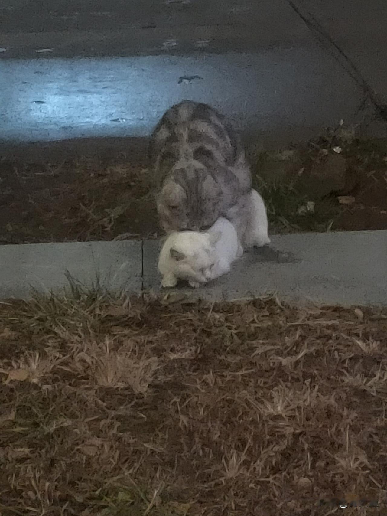 生活最重要的是什么？我觉得是感知、联结与自我和解。
生活里，感知无处不在。清晨粥