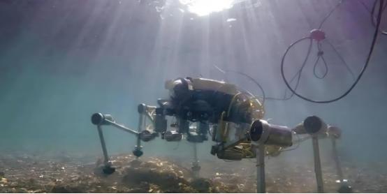 日本全国上下欢呼雀跃。根据日本共同社2月2日消息，日本宣布，他们成功从南鸟岛海域