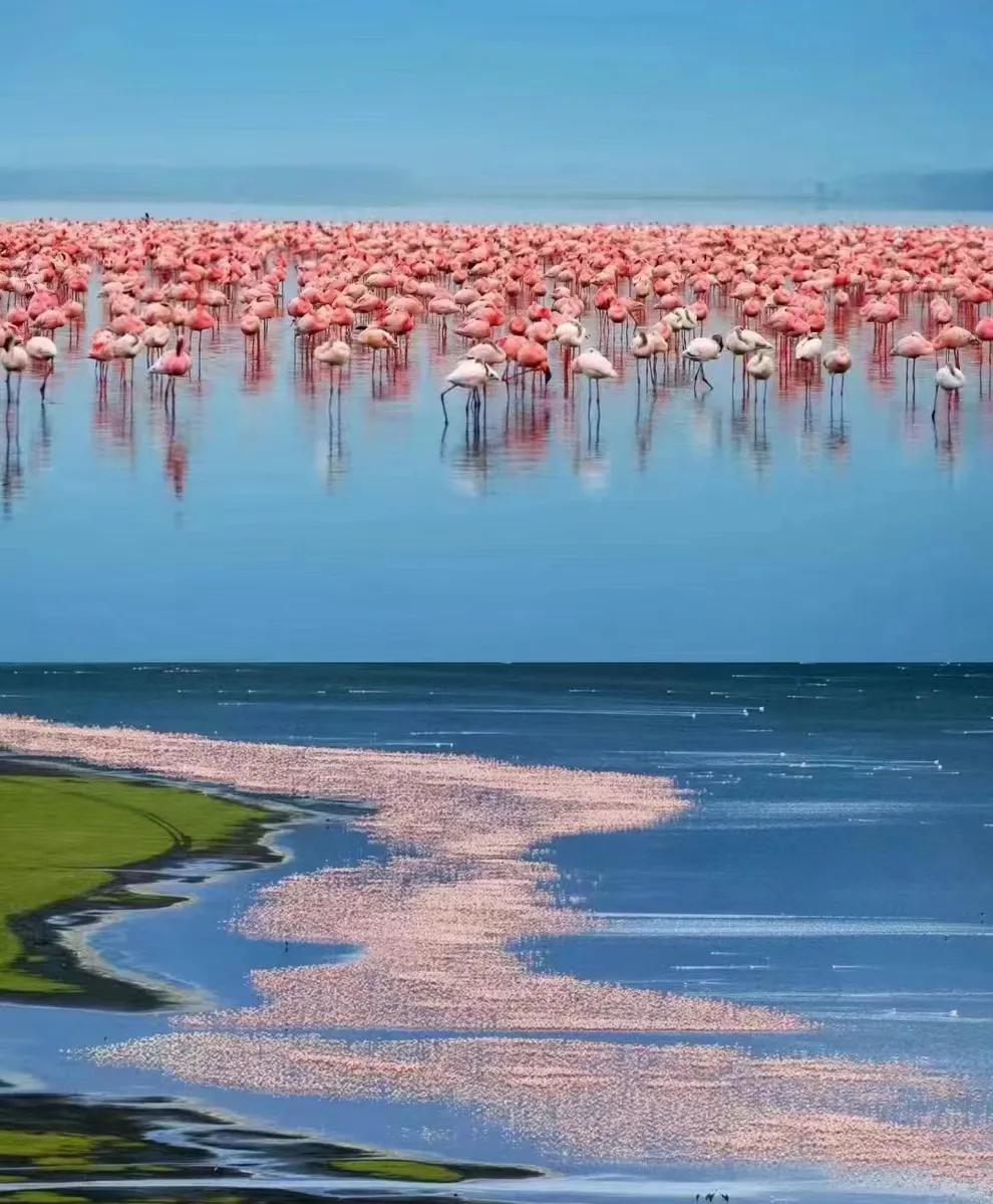 #上联：高山不语拥千树，下联邀对#
[比心][送自己一朵花][玫瑰]
下联:流水