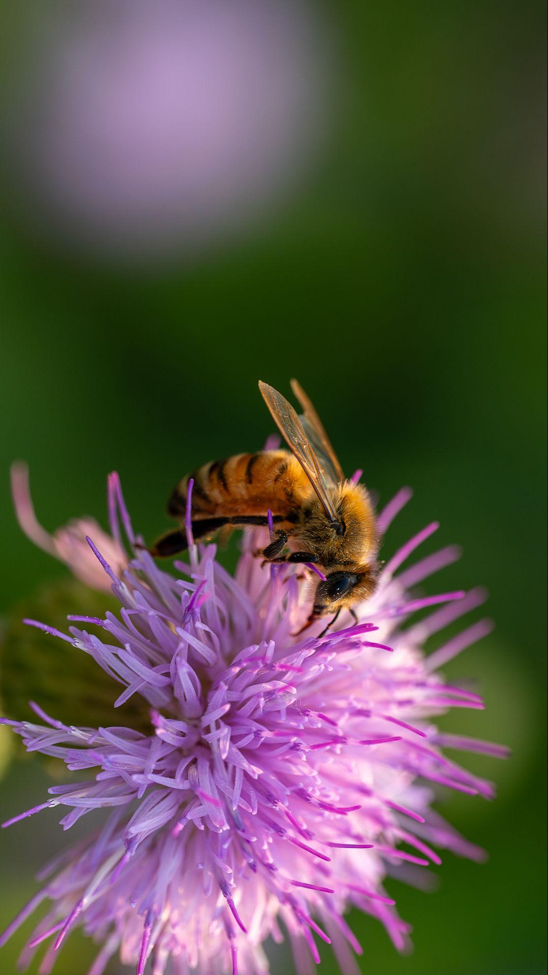 来感受一下地表最强百微尼克尔105的魅力。