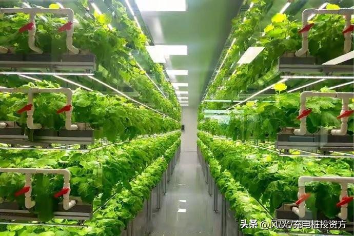 如何发展都市农业？将老旧的农贸市场以及仓库，经营不善的商业综合体改造为智慧立体农