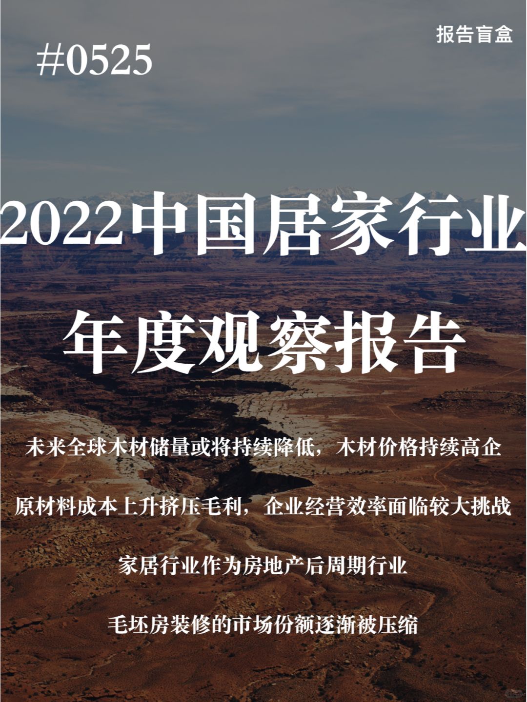 ｜2022年中国家居行业年度观察报告