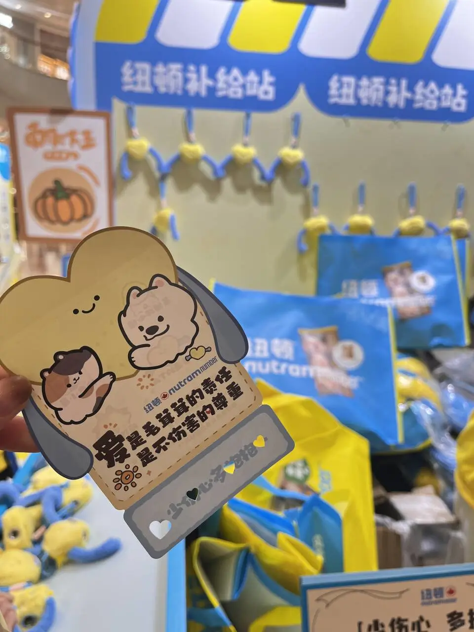 黄油小熊旁边，这边的宠物快闪也好好拍！