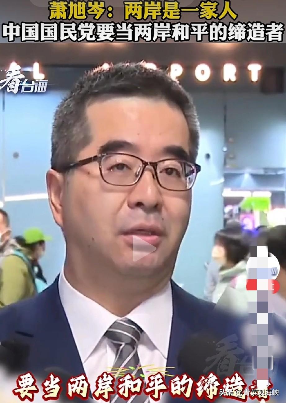 国民党副主席萧旭岑最近辞去马英九基金会执行长职务，全力投入党内的两岸事务。辞职刚