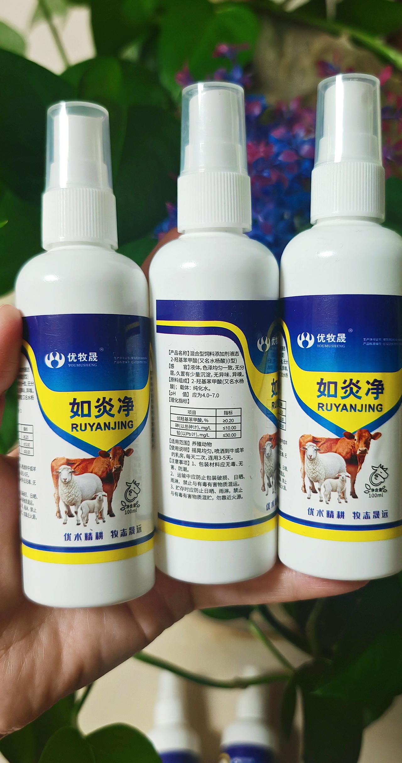 养羊人 农村养羊 牛羊养殖 养殖人加油