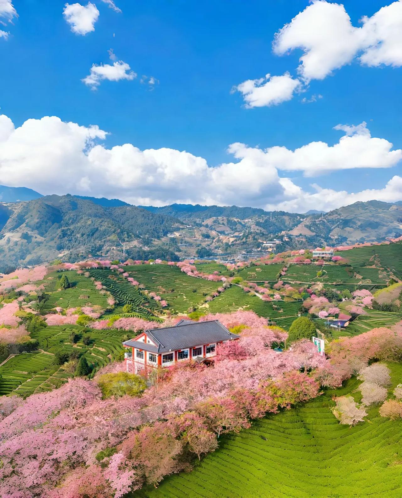 师弟是某 211 大学的副院长，他孩子在南京一所重点高中上高一，成绩尚可，基本能