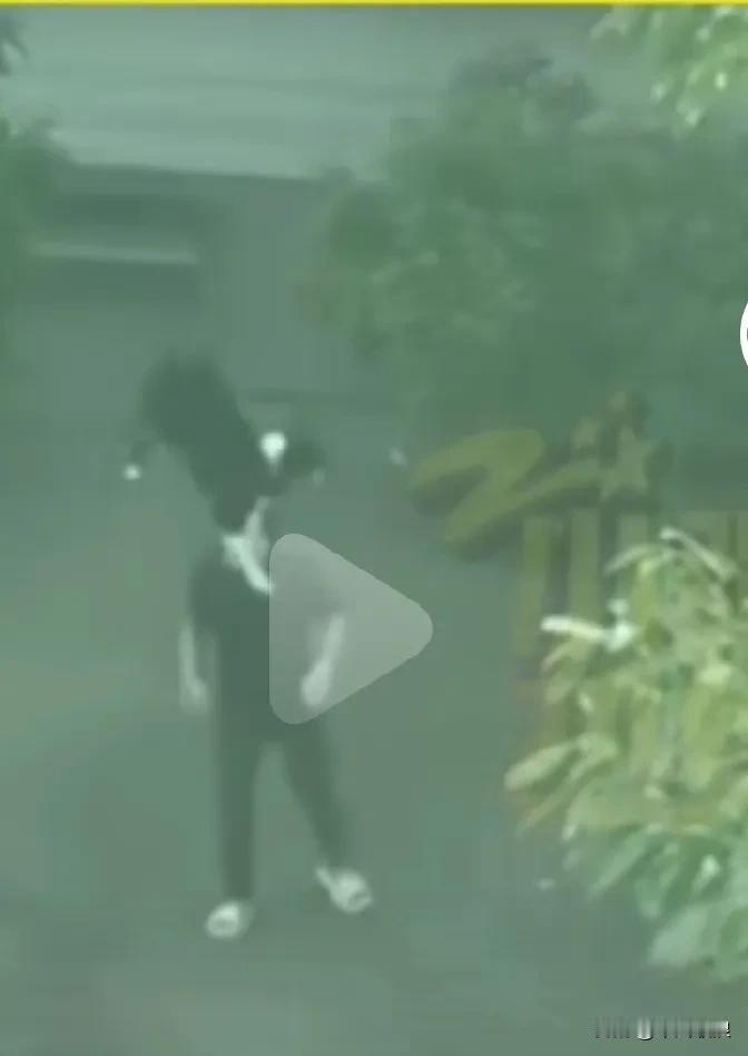 在监控下的一幕，一男子把一只小狗狗高高举起重重甩下，看还没死又去连脚踩几脚。踩到
