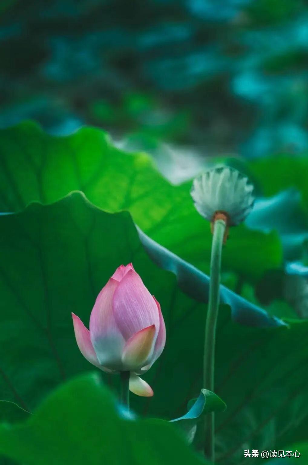 性学专家说：“做老婆的，别管男人跟谁睡，他出去了，不在你身边，你管他干什么？只要