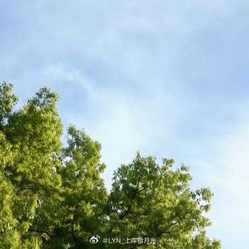每日一善[超话]🌿阳光信用🌿每日一善周二继续加油！【☀️-较好互动指路hui