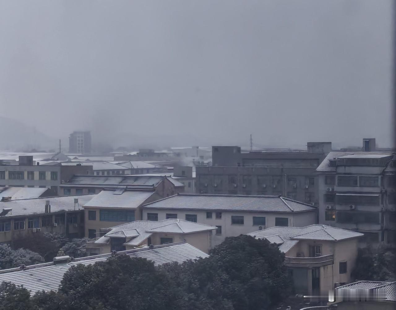 天气预报说有雪，果真，2026年第一场雪就这么来了！

是晚上悄无声地下的，早上