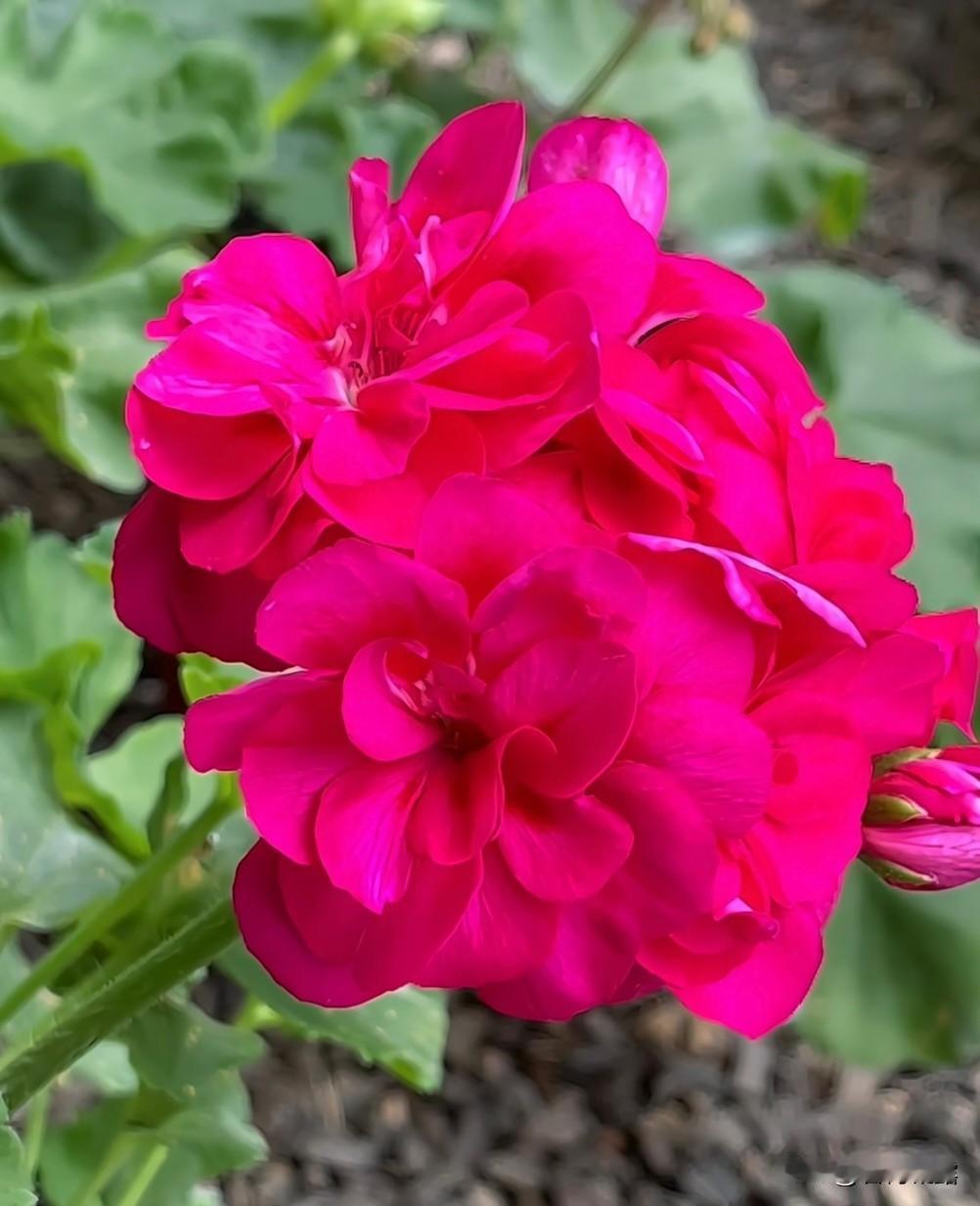 重磅上线！我的年度鉴定结果是“热爱生活记录的点赞收割机”，你的结果又是什么？快来