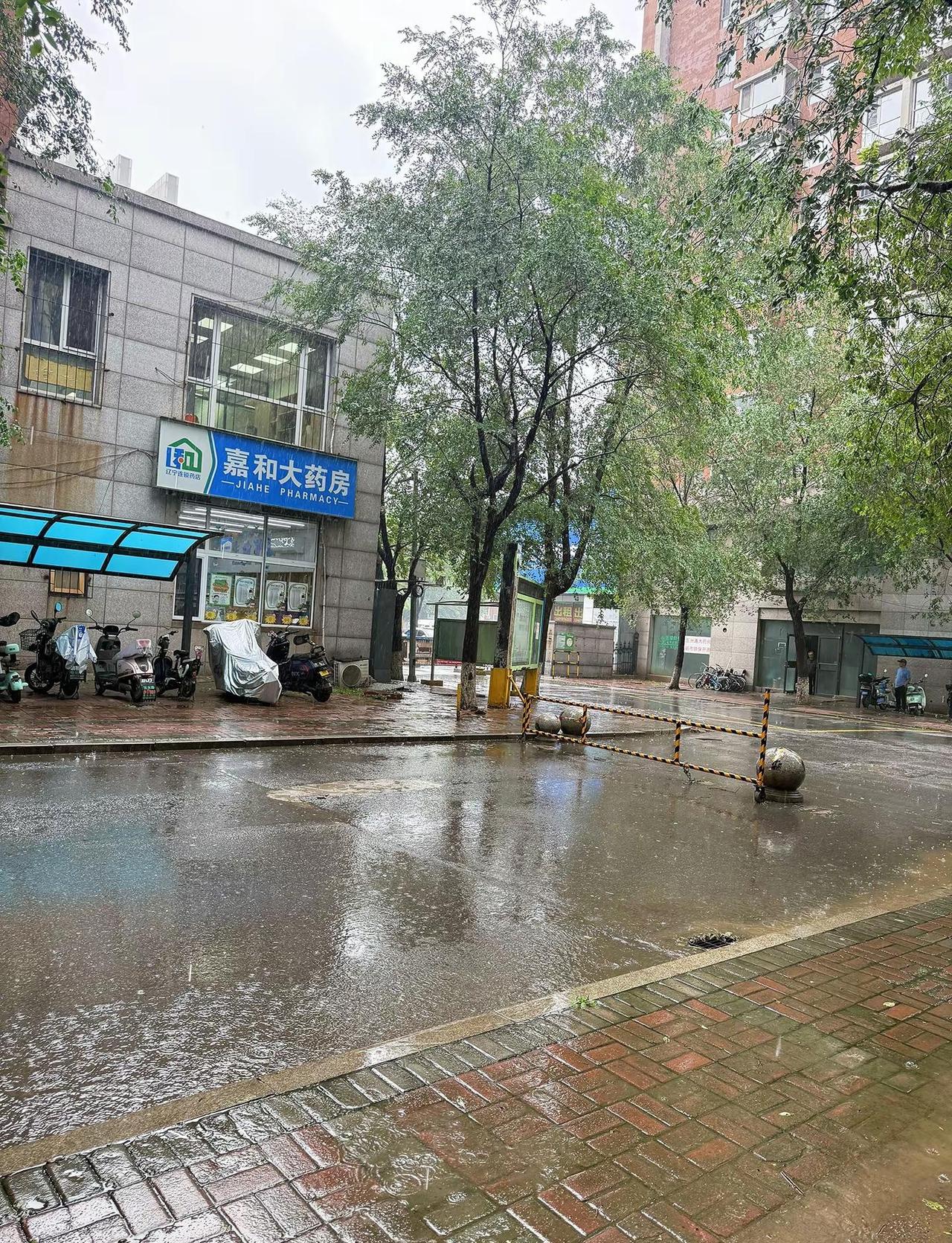 东北这雨是包月了吧，走的是东北套餐 东北这风也不好乱，雨也不好好下，没有一个让人