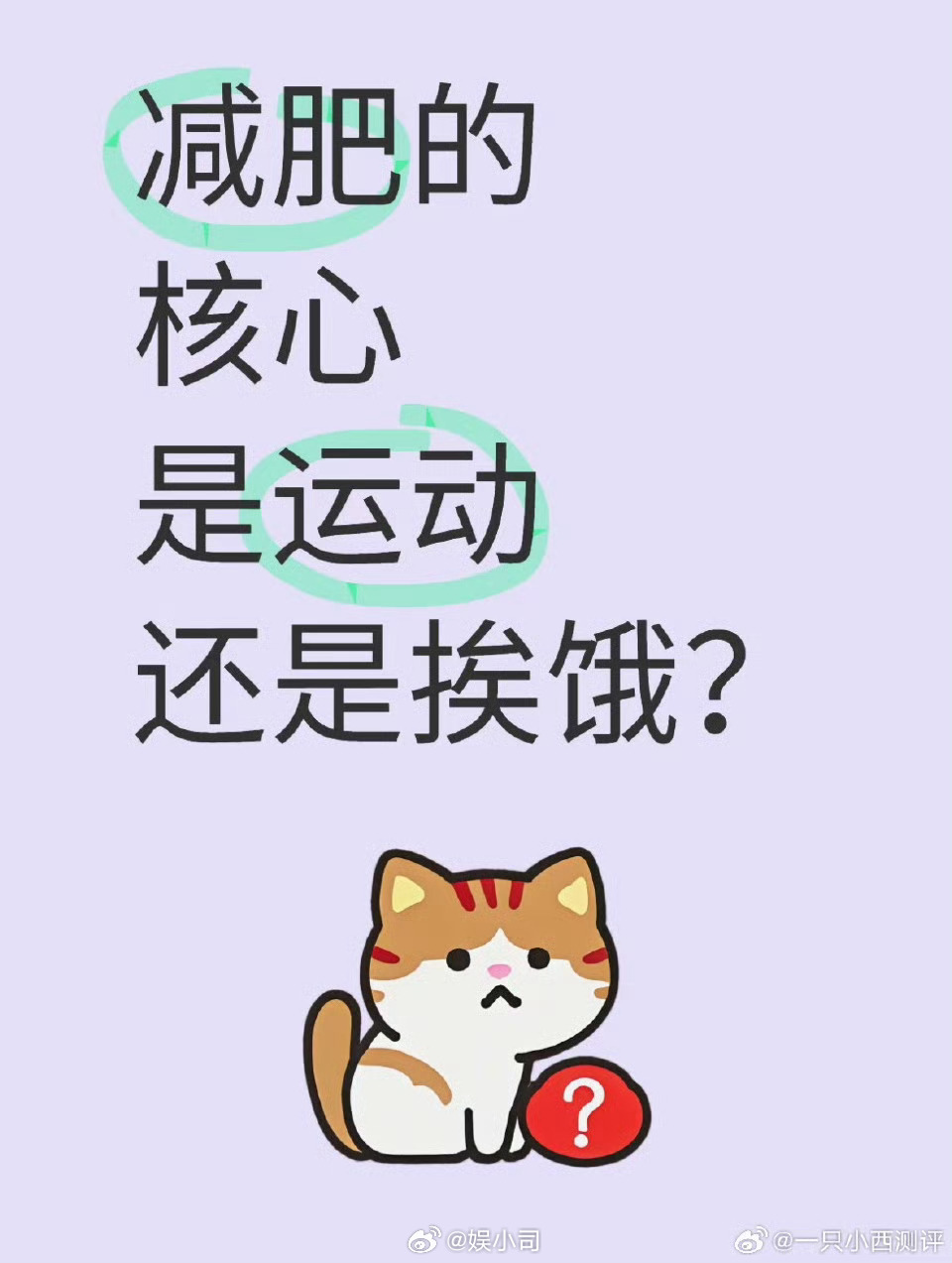 运动减肥vs少吃减肥多运动+正常吃=瘦的慢  ，多运动+少吃=正常减肥，适量运动