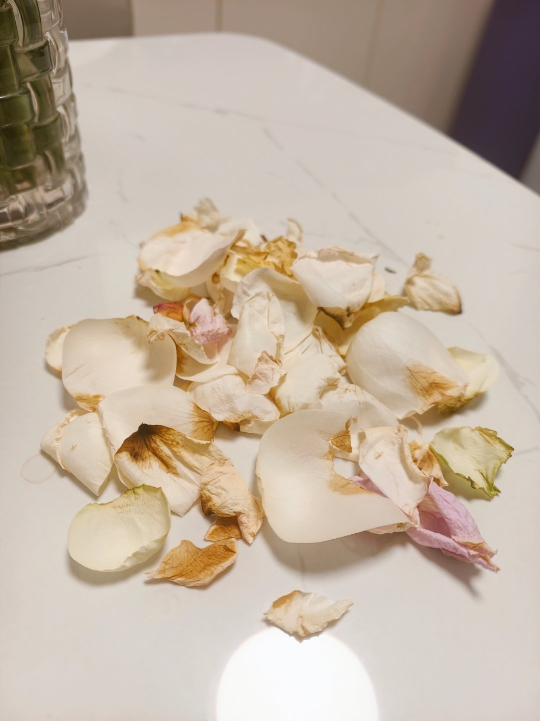 万能的小泡芙们，救救一个只想养养鲜花的黑龙江孩子吧，推荐个靠谱的店。 