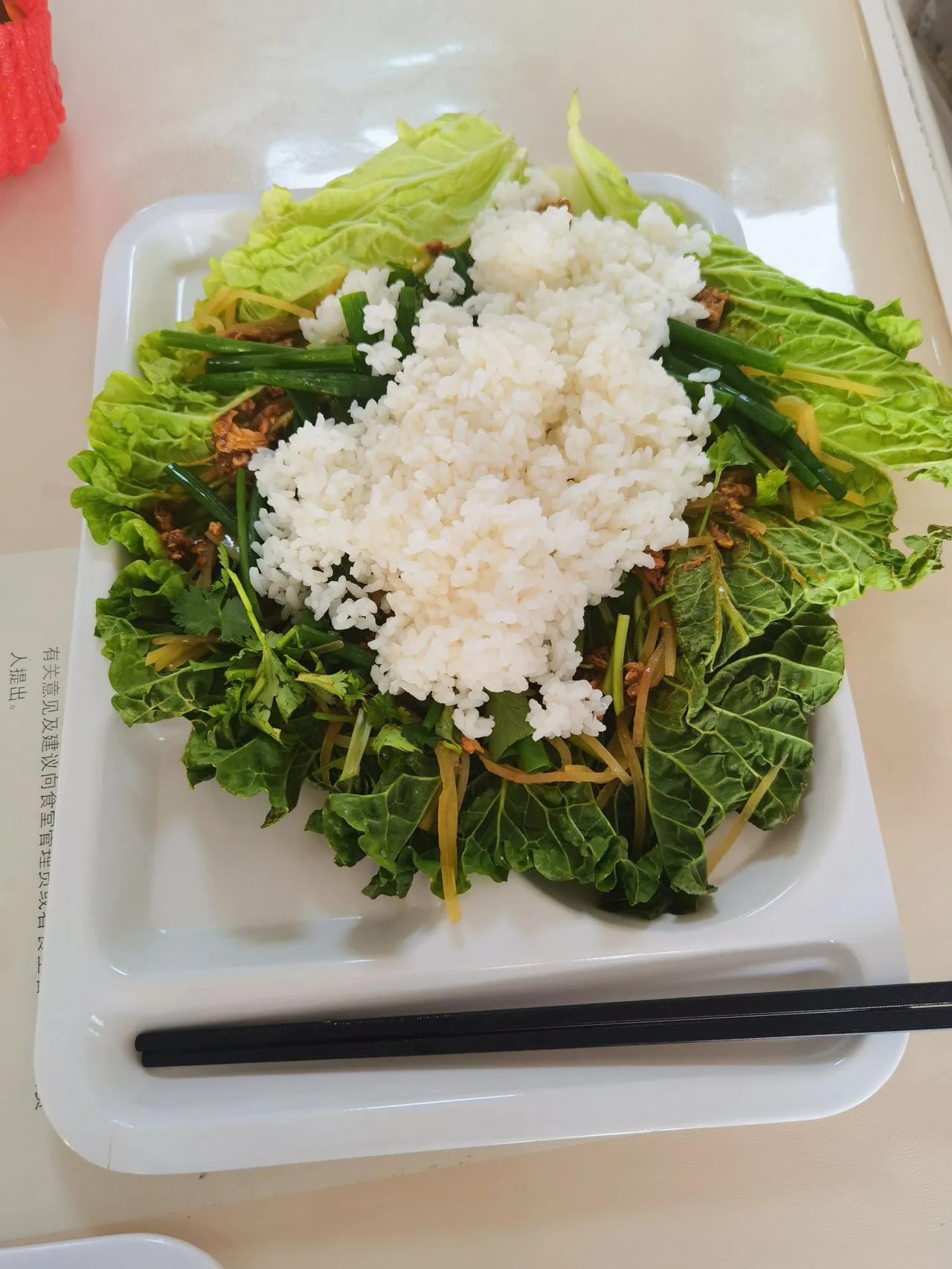 今日食堂午餐别出心裁，东北大菜包，我的最爱！必须吃光光！