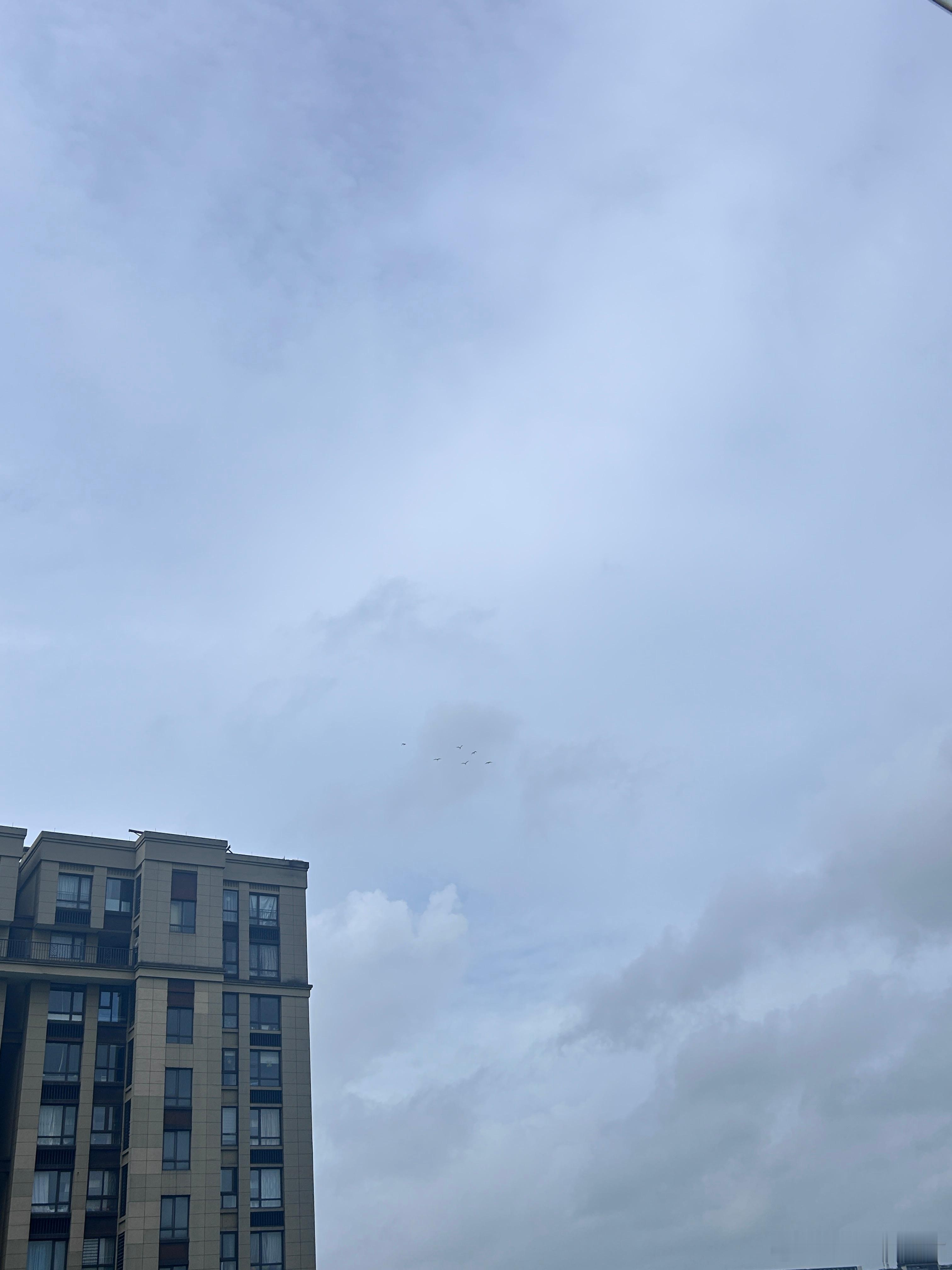 巴威或重新加强为超强台风凌晨下班出门，无风无雨，完全感受不到台风来临的气息。疲惫