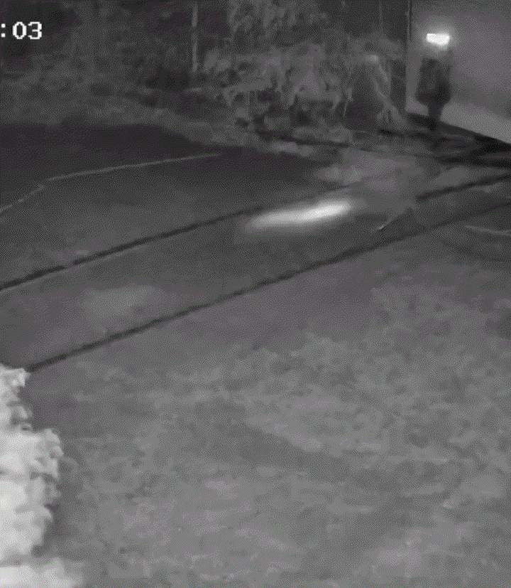 这招绝了，湖南，一小偷夜里鬼鬼祟祟上门准备做“坏事”，可小偷刚推开房门踏进主人家