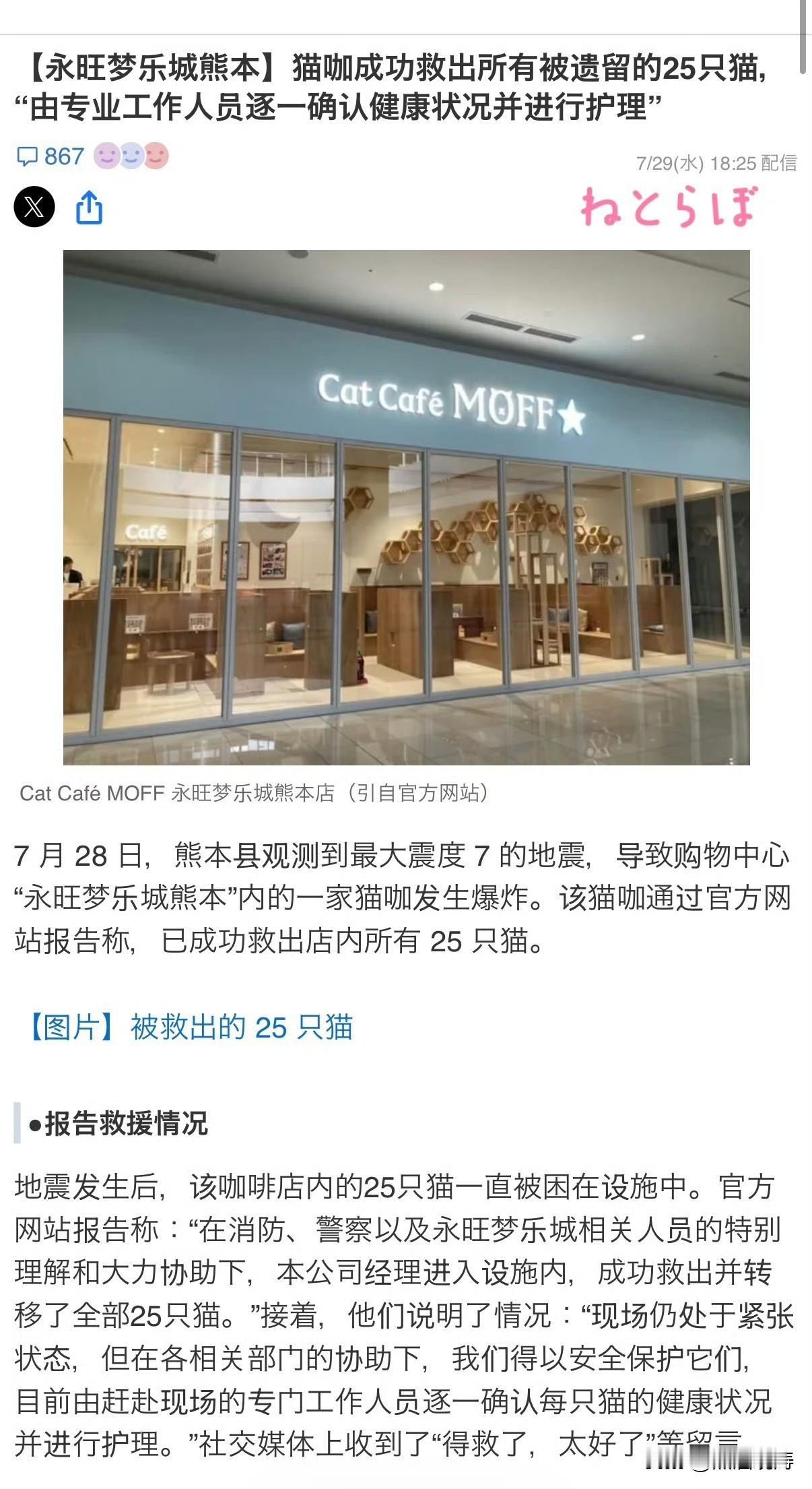 日本媒体报道，熊本商场爆炸后，从商场里救出了25只猫。该店甚至还公布了25只猫的