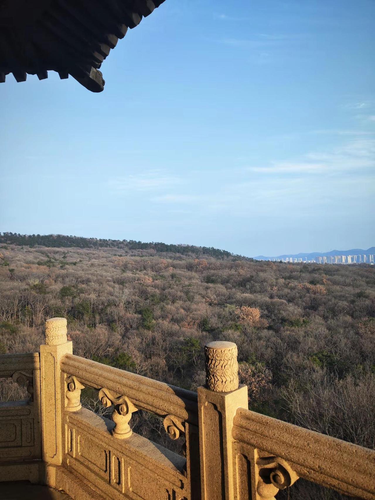 灵谷景区—老门东