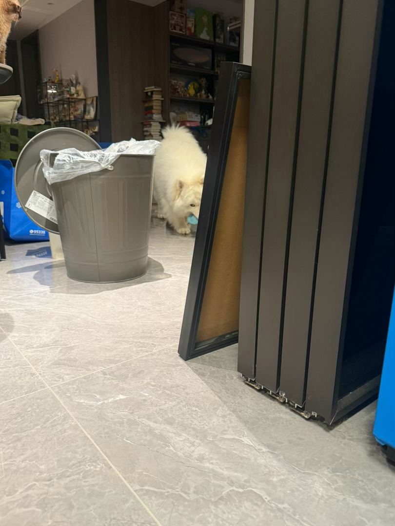 又换了一个玩具……泡歉，我只是不想和你丸啦……和玩具没有关系…… 