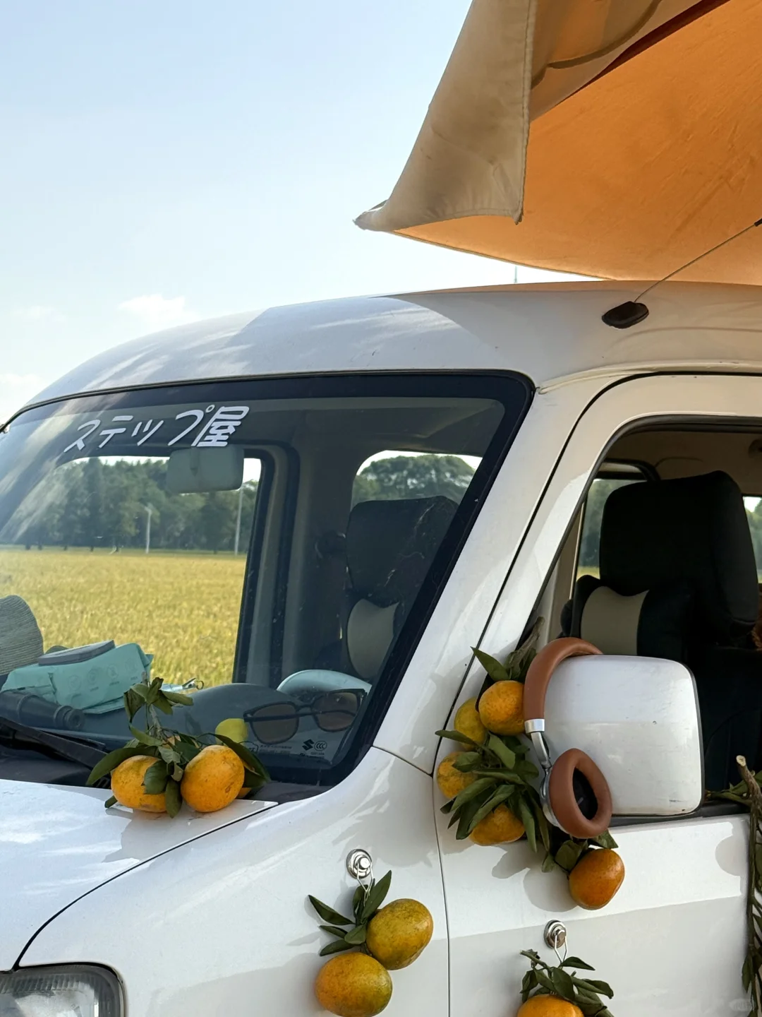 苏州🚗1h到了宫崎骏的麦田🌾🌾🌾