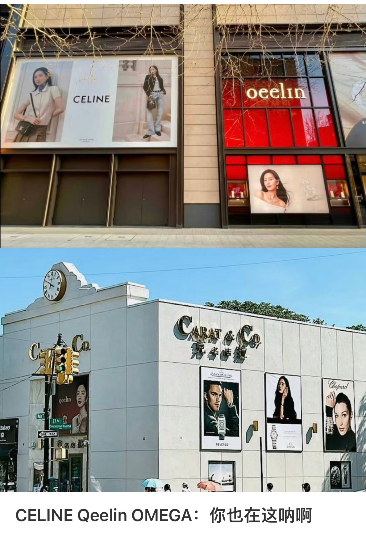 5奢女王刘诗诗，Celine和Qeelin地广同框，Omega和Qeelin地广