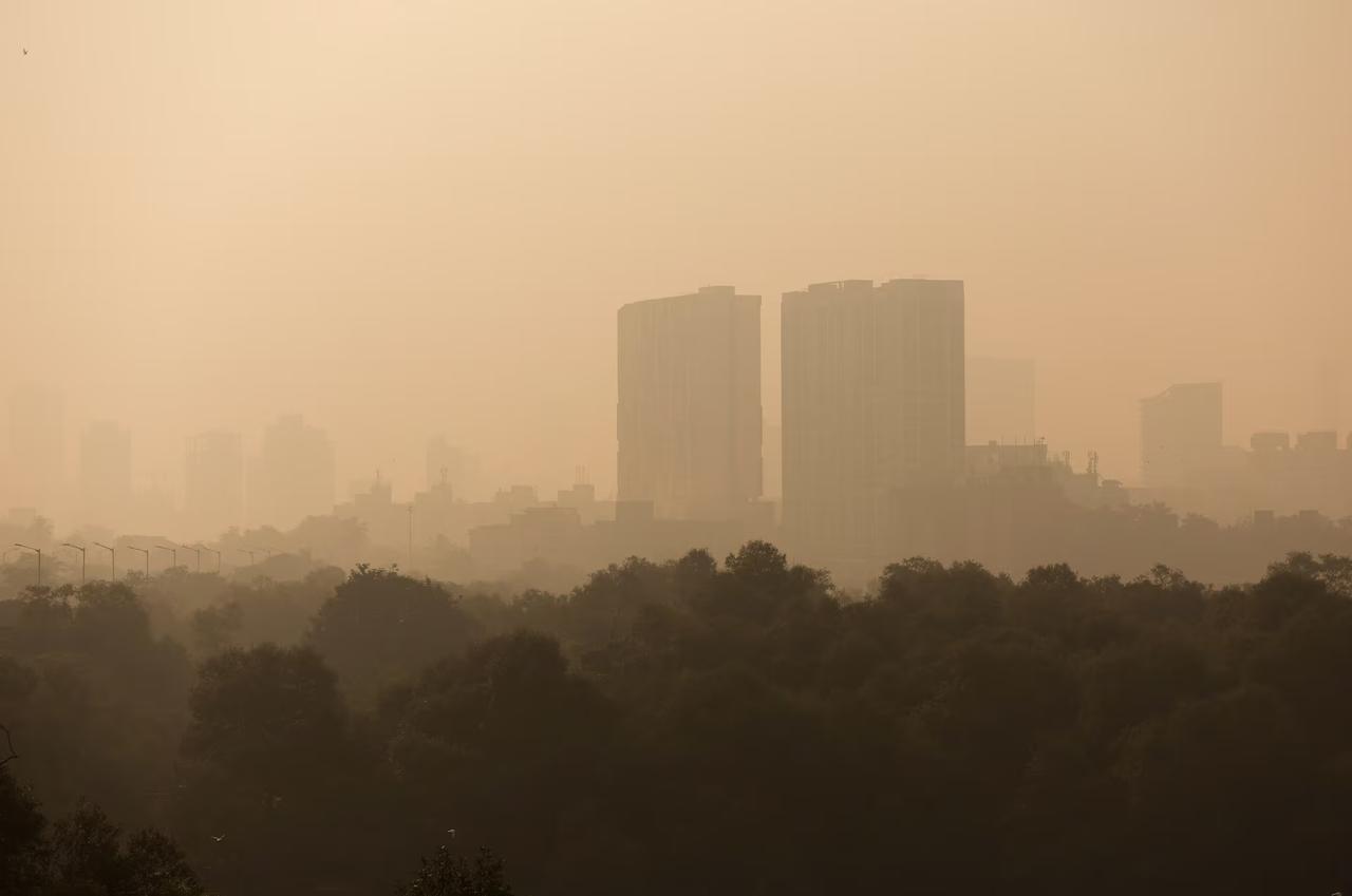 [To learn English]
India tightened anti-