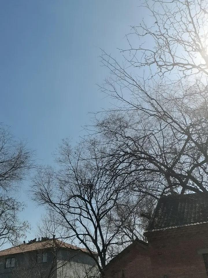 大年初三，又时一个晴空万里的好天气，最适合走亲戚了！你去谁家走亲戚了呢！
晒图笔