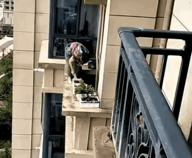 天呐！这大妈的胆子也太大了吧！