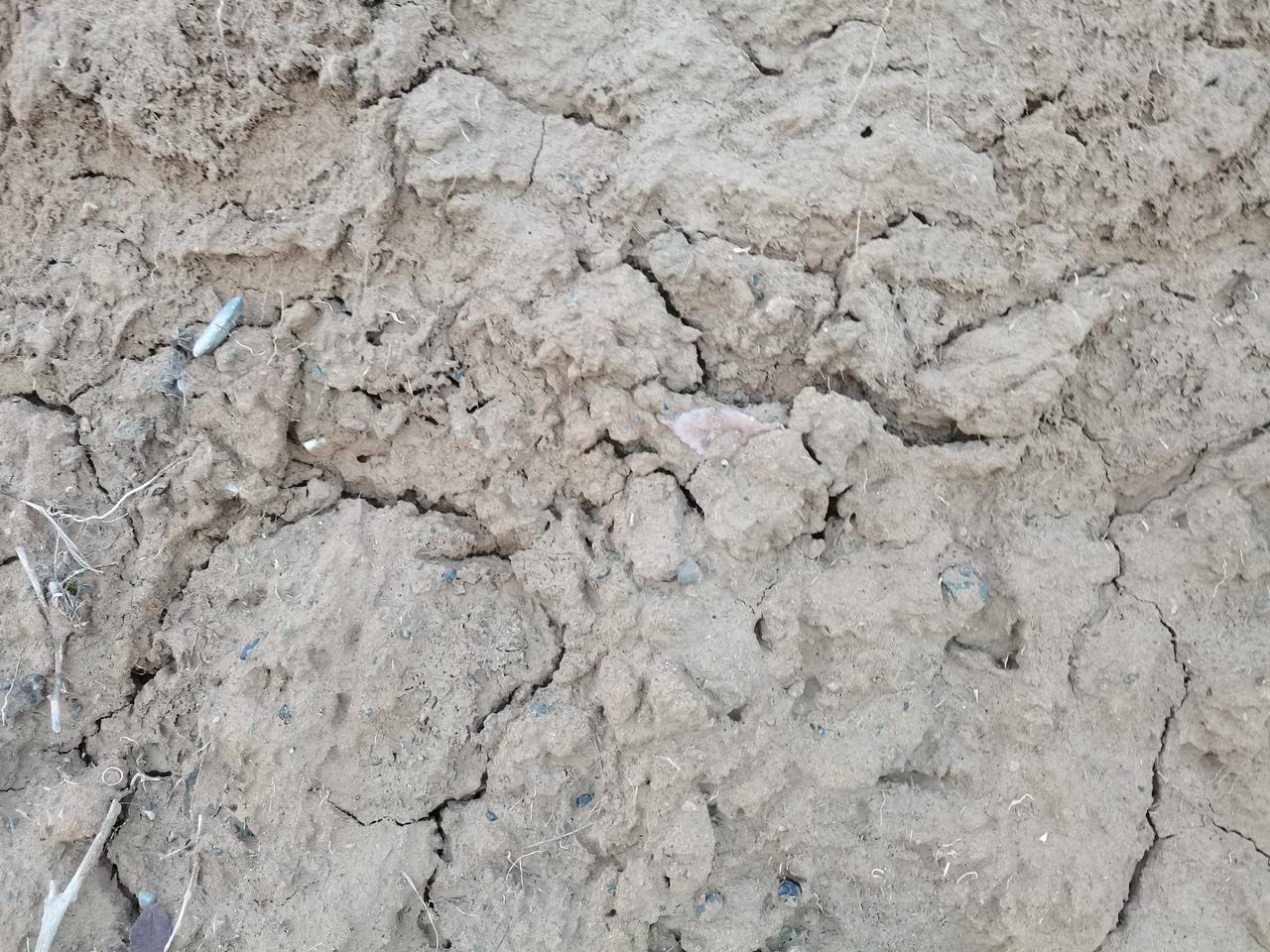 美国的两架运输机到底是被伊朗击落的，还是美国人自己炸毁的，真相其实是一个简单的分