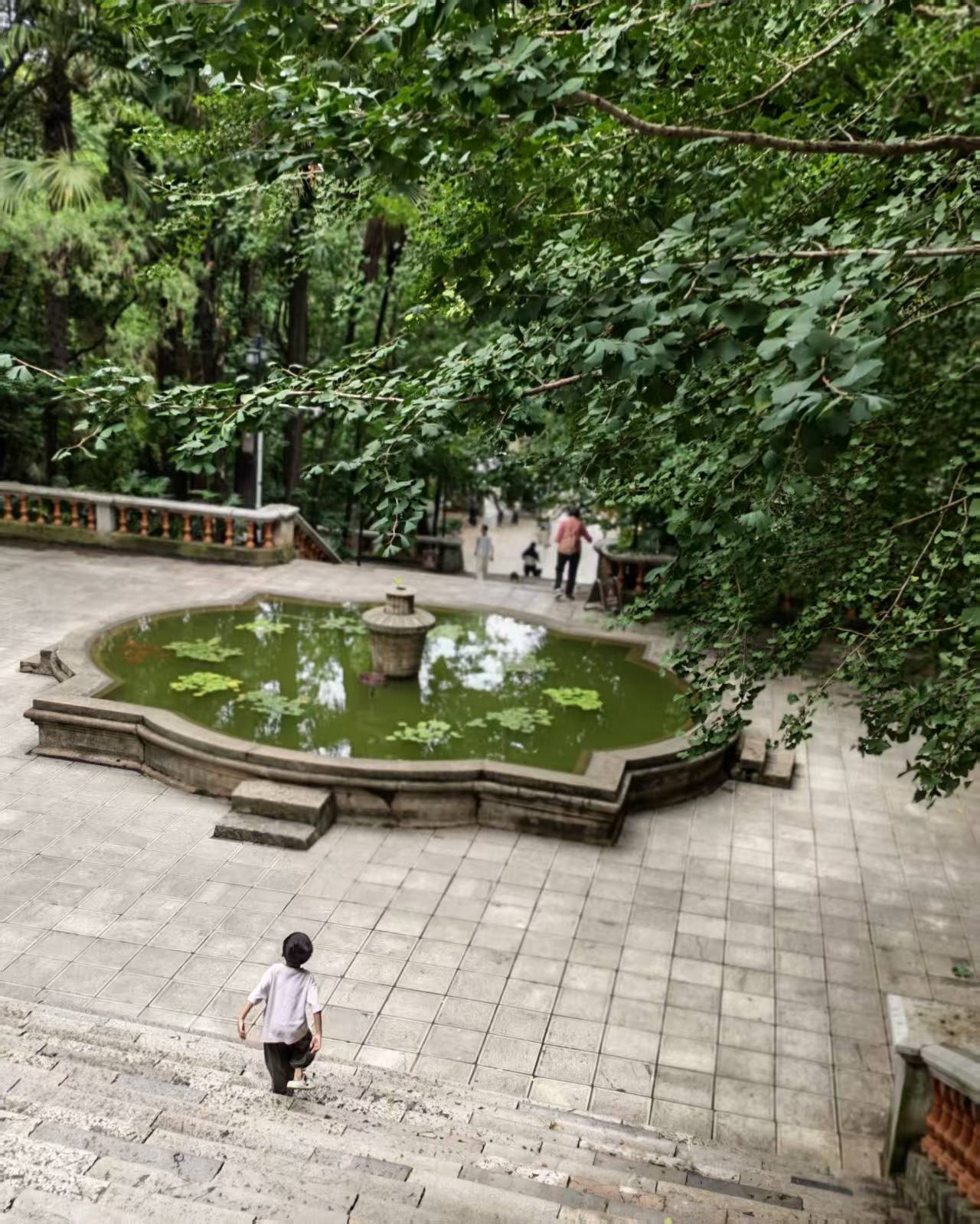 昆明的夏天，真的很适合去云大慢慢走一圈，这里不是那种热闹的打卡景点，更像一所被时