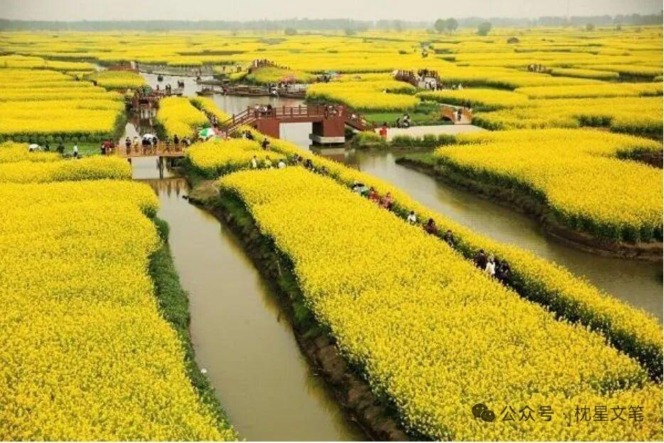 为什么日本的政府部门叫“省”？而我们的叫“部”？

简单说：都源自中国唐朝的“三