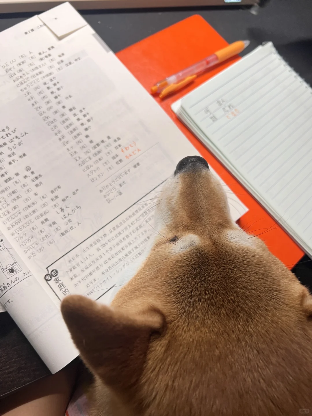 八嘎子学点母语