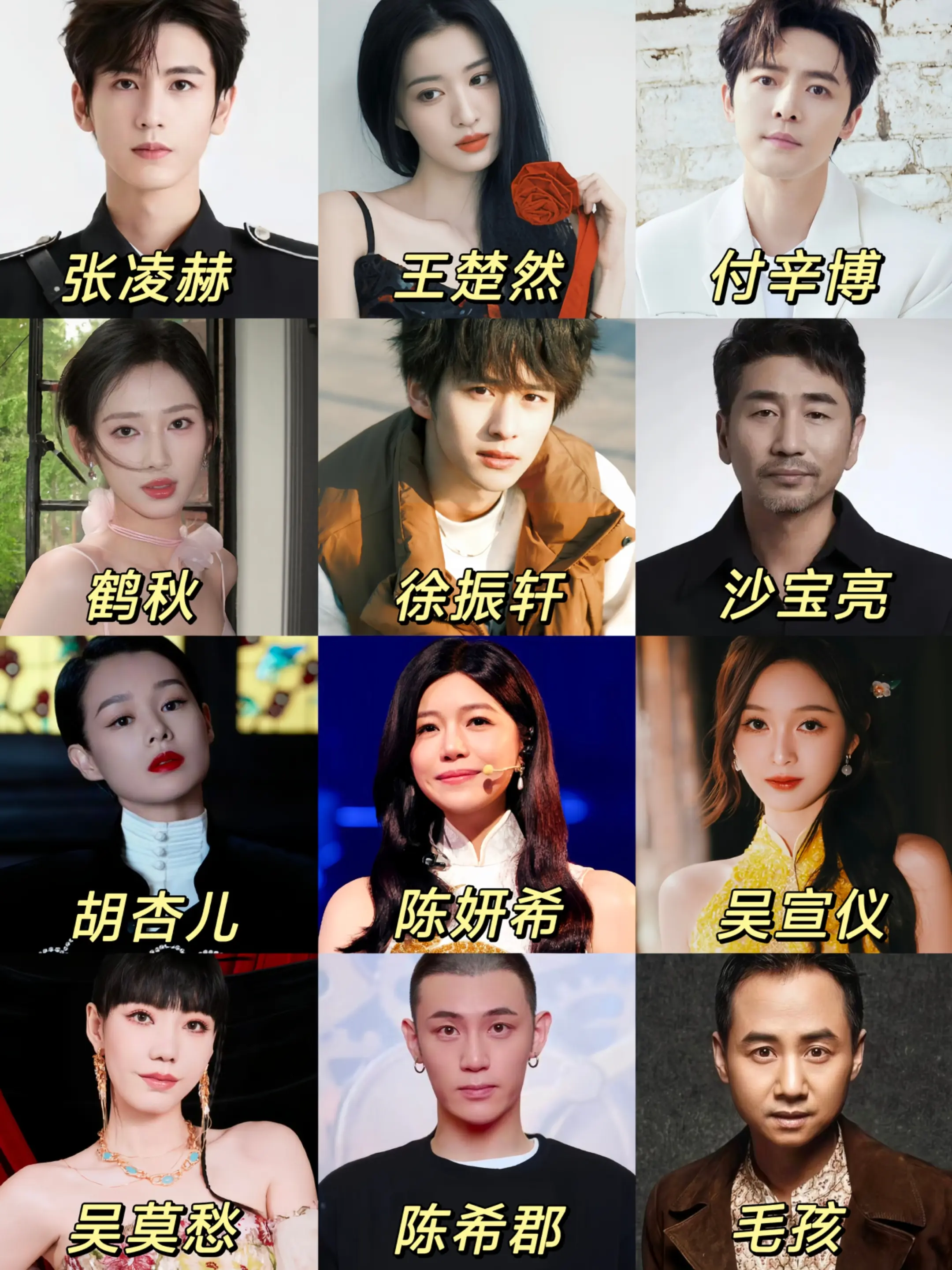 这个阵容，是这一秒必火 ！！王楚然爱情