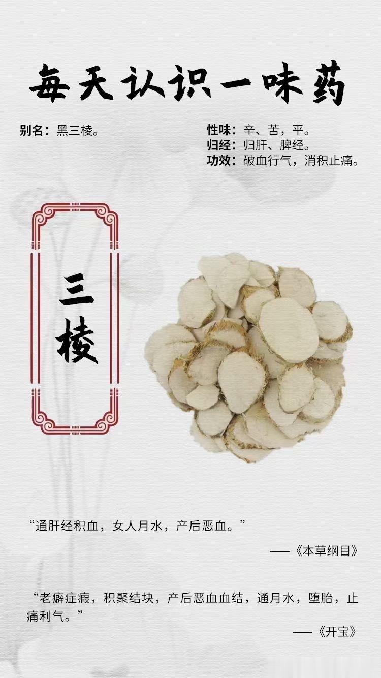 #国医的精诚力量##每天一味中草药##论道岐黄# ☘️【每天认识一味药】    