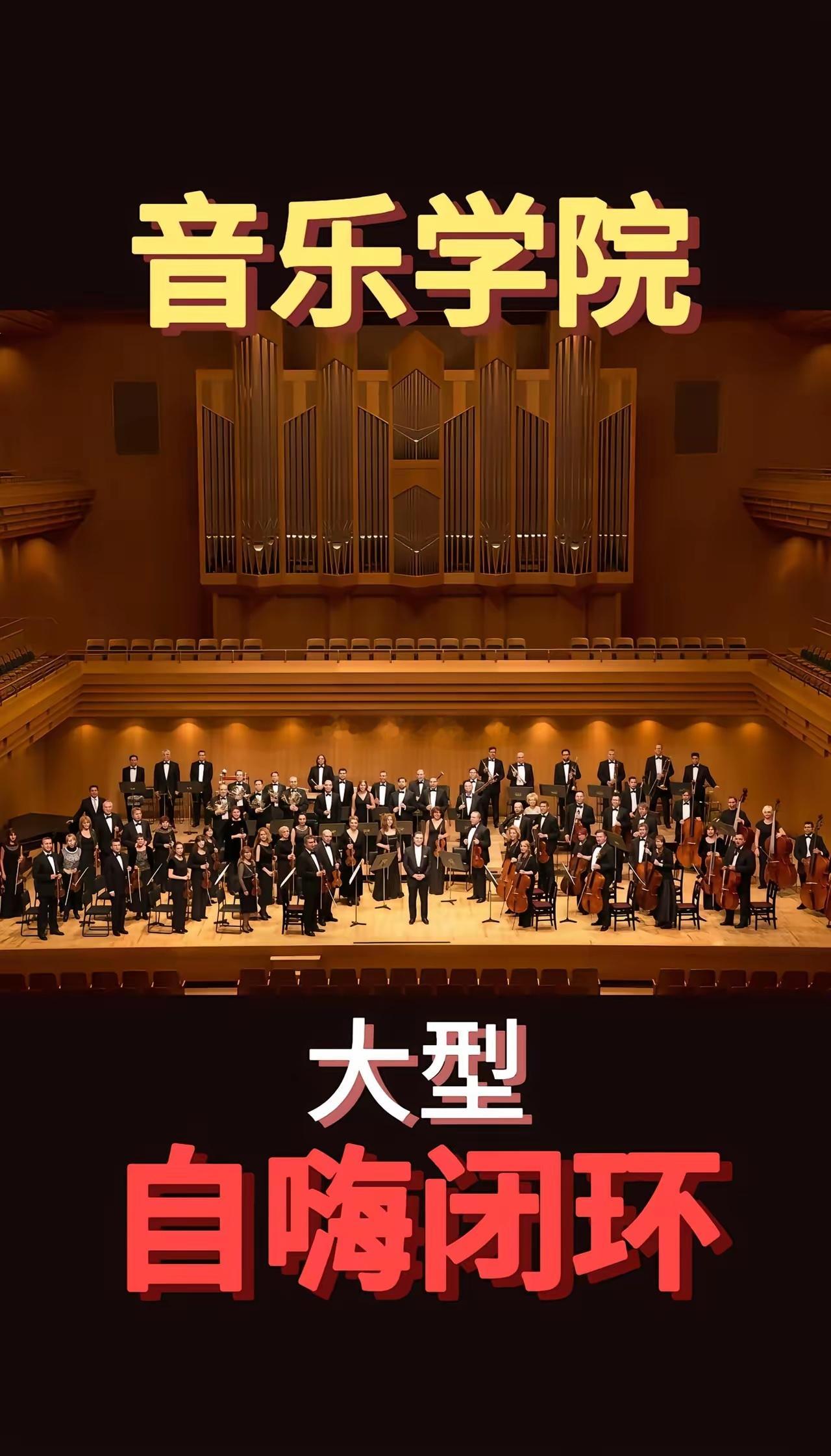 音乐学院就是一个大型的自嗨闭环音乐学院正变成一个自产自销、自我评价、自我延续的熟