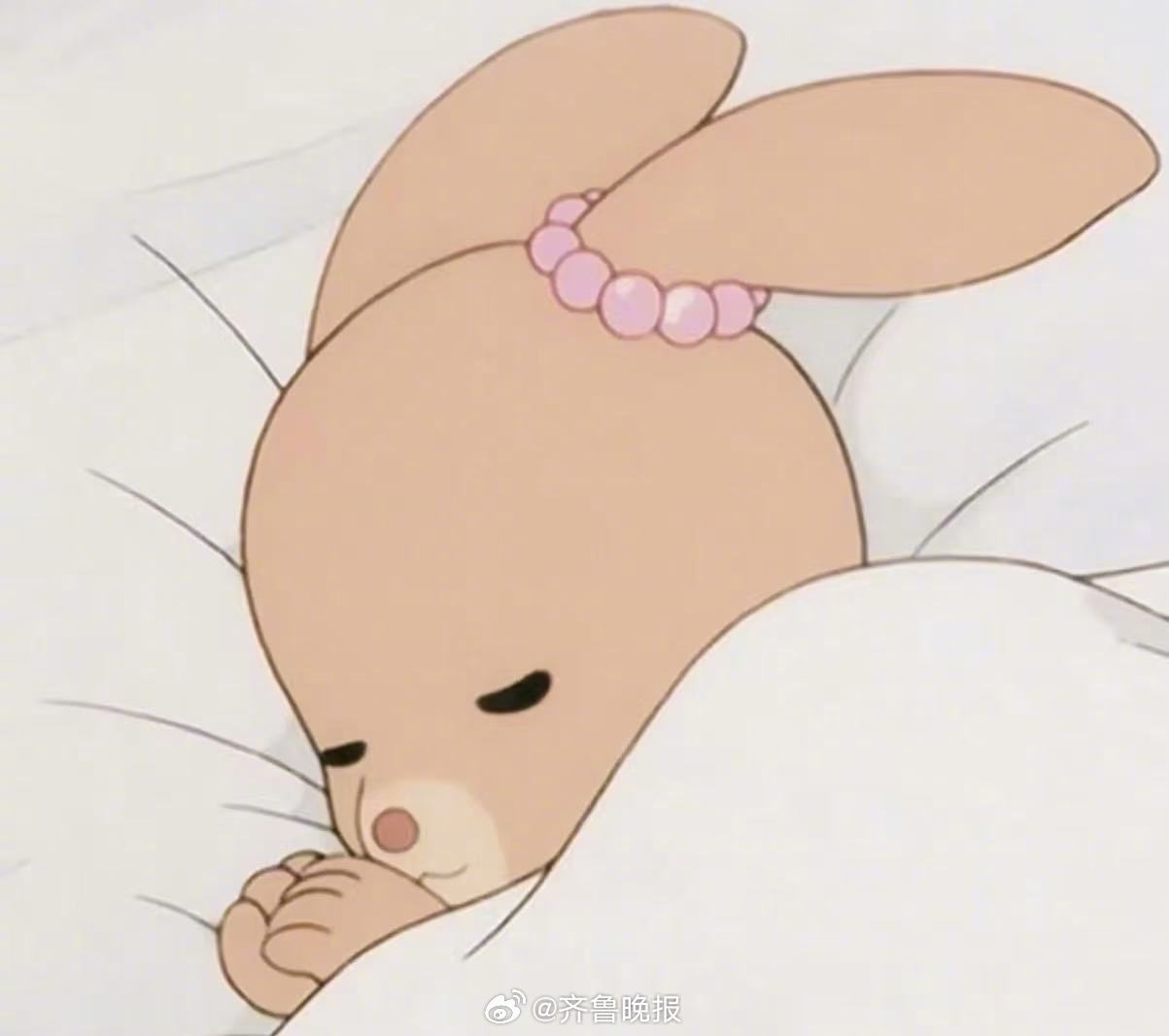 感恩生活也珍惜遇见，执着努力也随遇而安。#晚安#